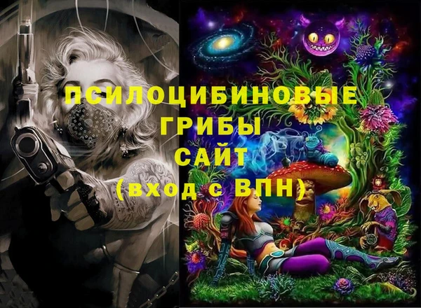не бодяженный Арсеньев